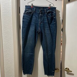 Judy Blue Skinny Fit Blue Jeans size 16W. Non-distressed. 27 inch inseam
